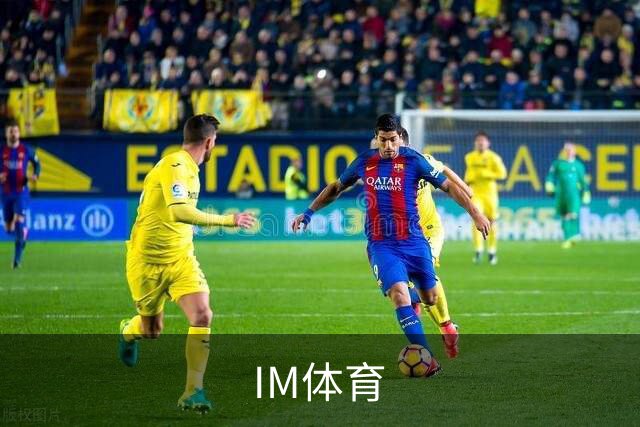 IM体育公司环境